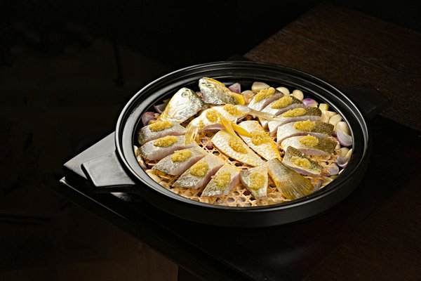 Wichtige Schutzimpfungen für freilaufende Haustiere: Unverzichtbare Tipps für die Gesundheit Ihres pelzigen Begleiters!